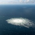 Kreml: oletada, et Venemaa on osaline Nord Streami intsidentides, on rumal ja absurdne