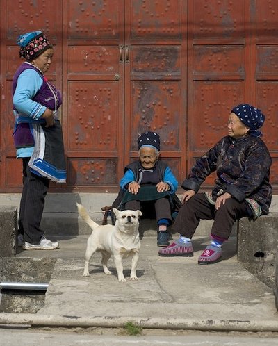 Kolm daami koeraga. Hiina 2013.