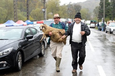 Kaks meest ja lammas. Rumeenia 2014.
