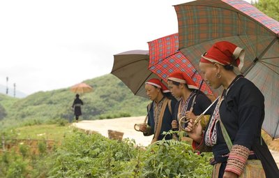 Kolm punase jao naist, Vietnam 2012.