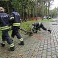 Viola Murd Kagu-Eesti tormist: tulevad uued nõuded mobiilifirmadele, kütus peab olema kättesaadav