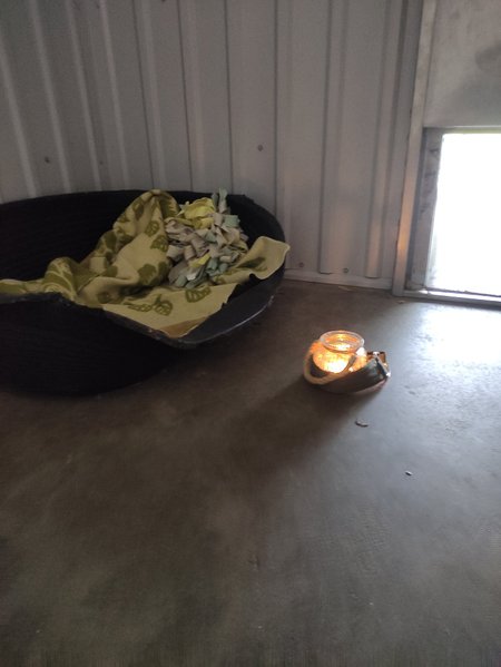 Работники приюта в Пальяссааре зажгли свечу в память об усыпленной собаке.