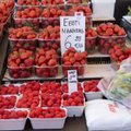 FOTOD | Maasikate hind on aastaga kolmekordistunud. Kui palju on hinnad kerkinud Tallinna turgudel?