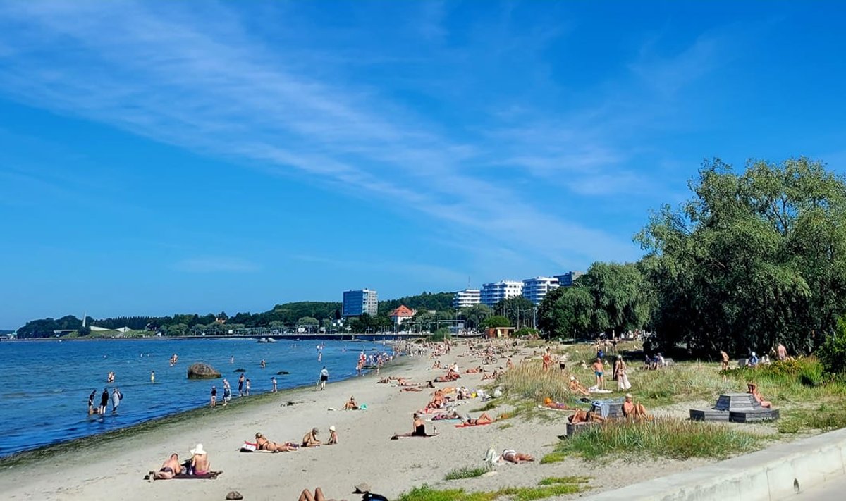 Пляж недалеко от "Русалки" 17 августа, видно как людей, так и собак
