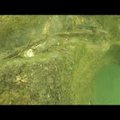 VIDEO | Excalibur? Arheoloogid leidsid jõe põhjast kivisse jäänud mõõga