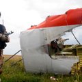 МИД Нидерландов не исключает ответственность Киева за крушение MH17 в Донбассе