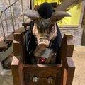 Свинью могли судить за убийство, а домашними любимцами были овцы и коровы: блогеры посетили выставку о животных в средневековье