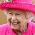 Лазейка в законе: Елизавета II может использовать королевскую власть, чтобы не допустить ”Брекзит” без сделки с Европой