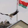 Белоруссия вводит безвизовый режим для граждан ЕС, правила распространяются и на серопаспортников