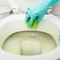 Ei leia töötajat? Tööandja maine võib töötajale olla tähtsam kui palganumber