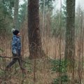 VIDEO | Metsaomanik: küpse metsa uuendamiseks mets raiutakse