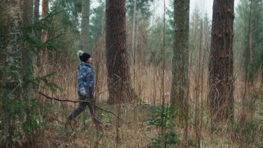 VIDEO | Metsaomanik: küpse metsa uuendamiseks mets raiutakse