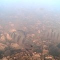Akvaarium arvutiekraanil | Läti jõekaamera näitab silmude kudemist