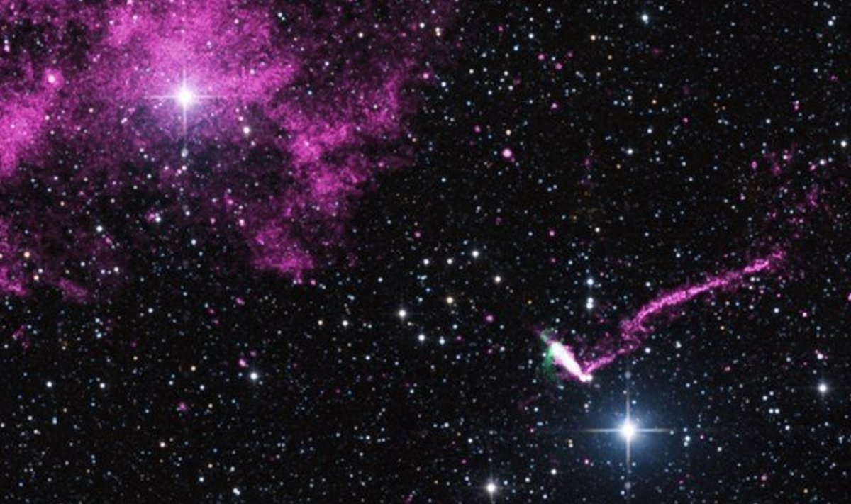 IGR J11014-6103. (Foto: NASA/CXC/ISDC)