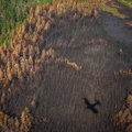 ФОТО | В Якутии сгорело уже более семи миллионов гектаров леса. По площади это Ирландия