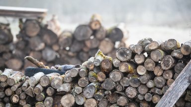 Kas alla 20 tihumeetri puidu müügil on vaja tulumaksu maksta?