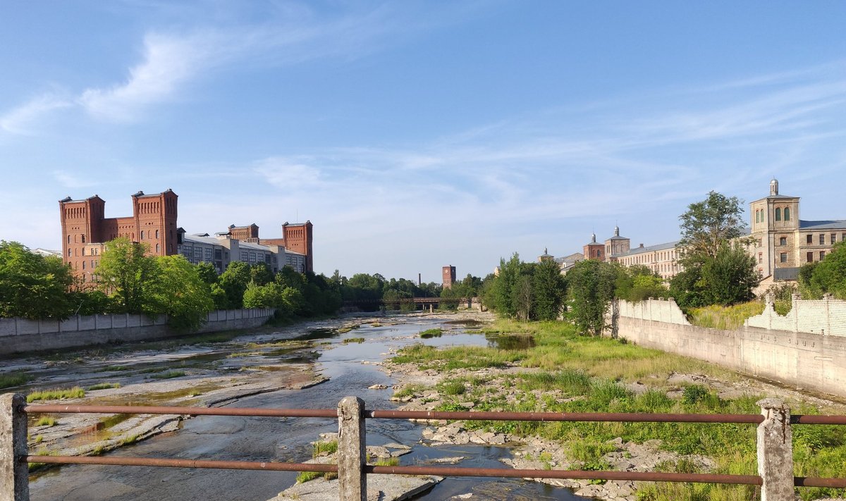 Kremli ööbikud, Narva