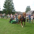 FOTOD: Eesti hobused näitasid Kurgjal oma mitmekülgsust