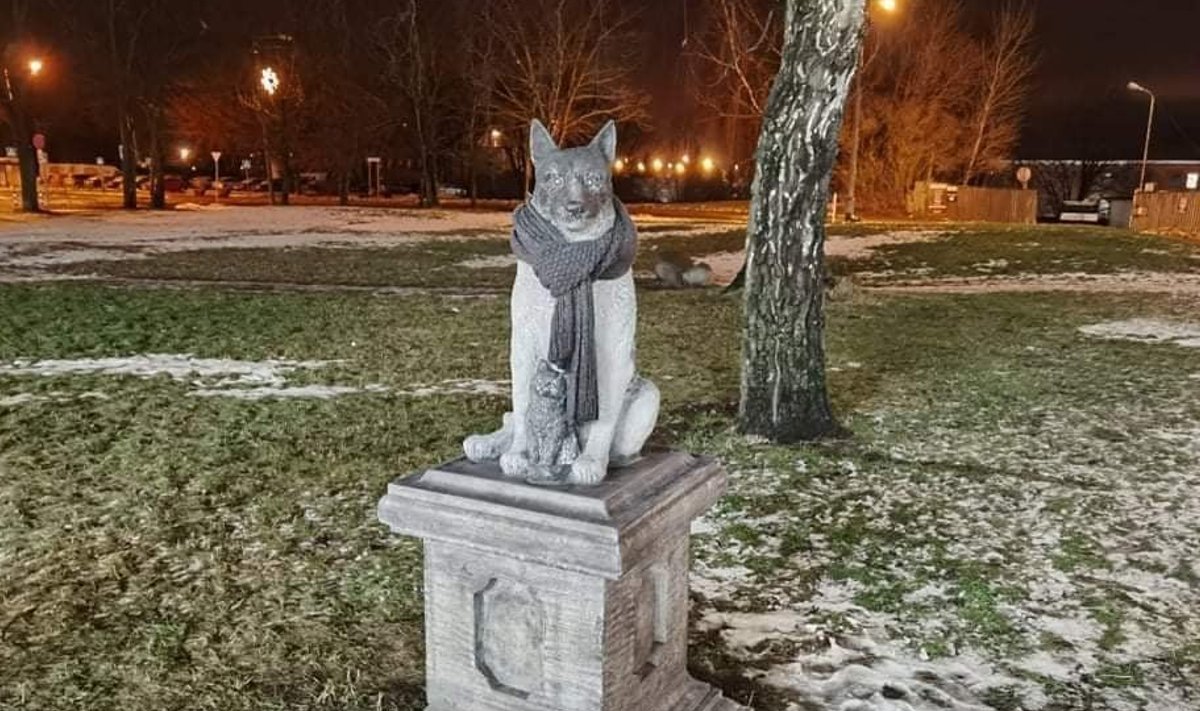 Žoriku kuju salliga