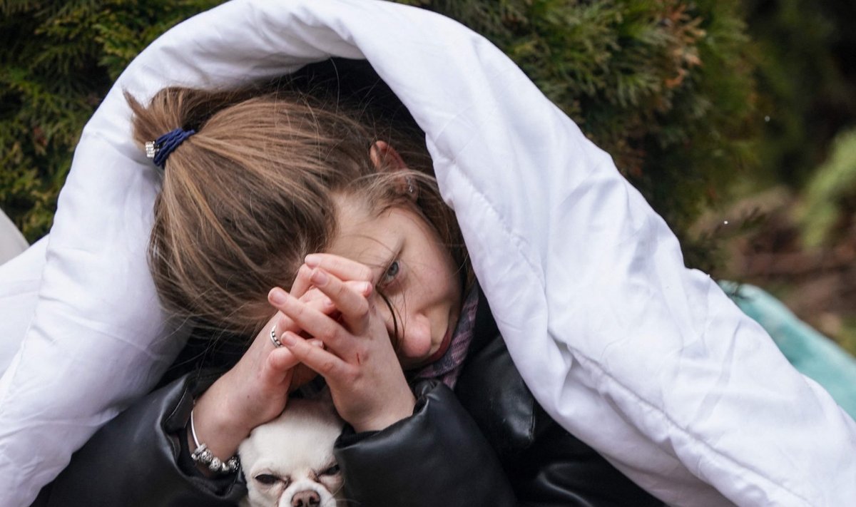 Ukraina sõjapõgenik koos koeraga Poolas