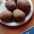 ГРАФИК | Из всех продуктов в Эстонии больше всего подорожал картофель
