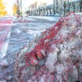 FOTOD | Veresaun Tallinna moodi: lagunevad rattateed värvivad lumehanged punaseks