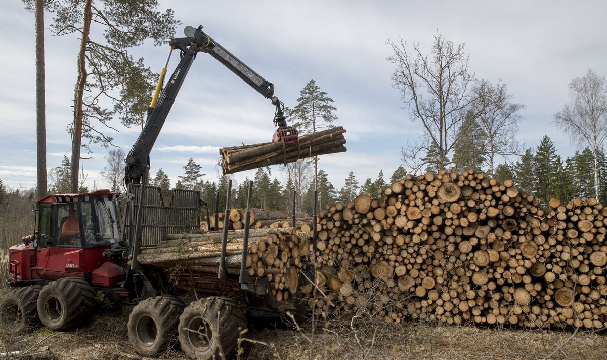 Sõda Ukrainas on visanud puiduturul hinnad lakke.