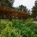 Таллинн поддержит создание и развитие 99 городских садов