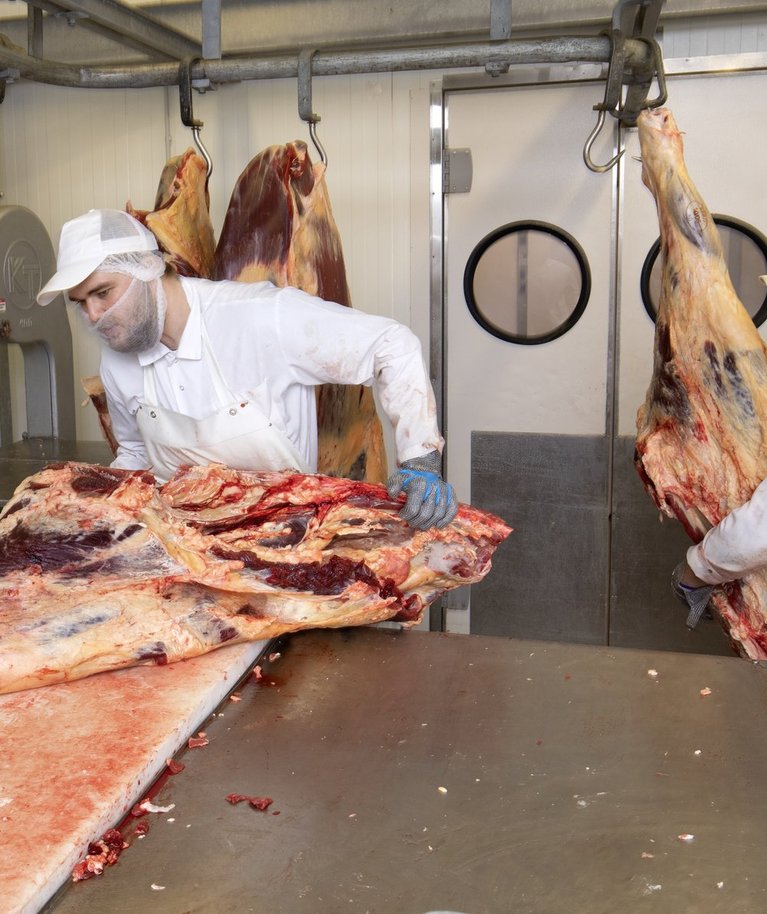Praegu käib Märjamaa Lihatööstuse tapamajas ja lihalõikuse osakonnas töö veel täie hooga. 