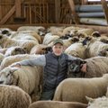 Mahelambad kosuvad Lahemaa rahvuspargis