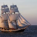 Tallinna merepäevadel näeb enam kui 50 purjelaevaga The Tall Ships Races laevastikku