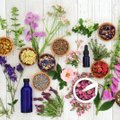 Aroomiteraapia sinu köögis: milline lõhn suurendab, milline vähendab söögiisu?