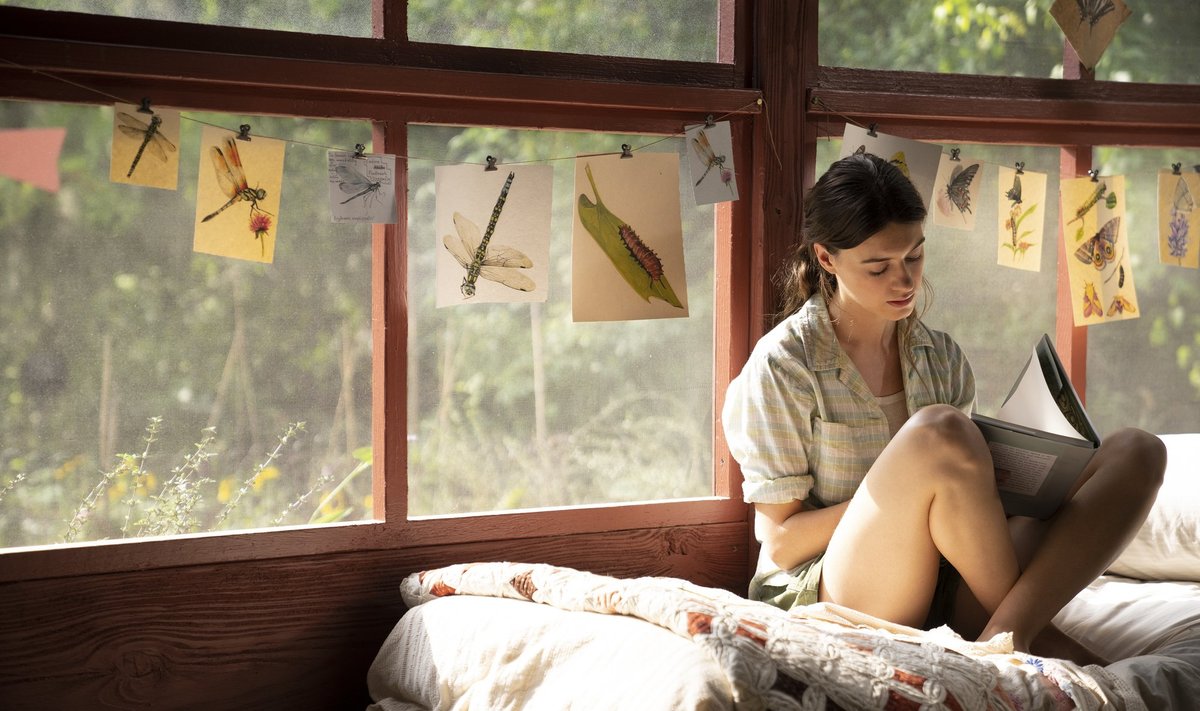 Film Review - Where the Crawdads Sing