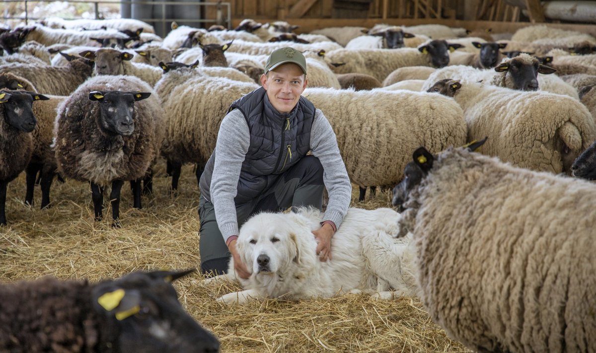 Aasta Põllumees 2022 kandidaat Priidu Veersalu,Iisaka lambakasvatus-ja käsitöötalu