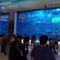 KAAMERAGA TEEL: Kui juba liialdada, siis suurelt – 10 miljoni liitrine akvaarium keset kaubamaja