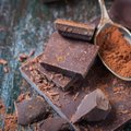 Kui šokolaadis oleks ka 10 korda vähem rasva, maitseks see meile ikkagi vastupandamatult