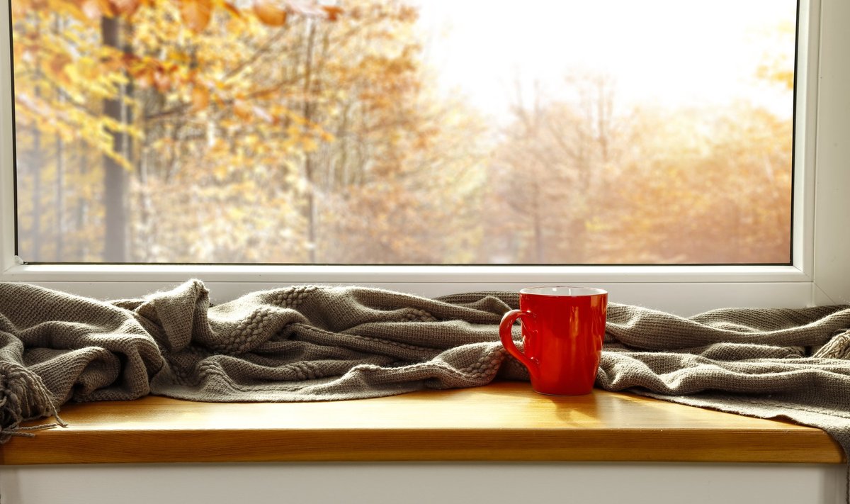 Autumn,Window,Sill,Background,And,Free,Space,For,Your,Decoration.