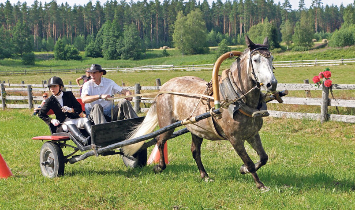 Rakendisõit pani proovile nii  hobused kui ka võistlejad. Fotol võistlejad  Nele Tomson,  Robert Udalov  ja eesti tõugu mära Rosanova, kelle omanik on Maie Kukk.
