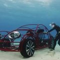 VIDEO: Volkswagen tegi Põrnikast haide vaatlemiseks mõeldud puuri