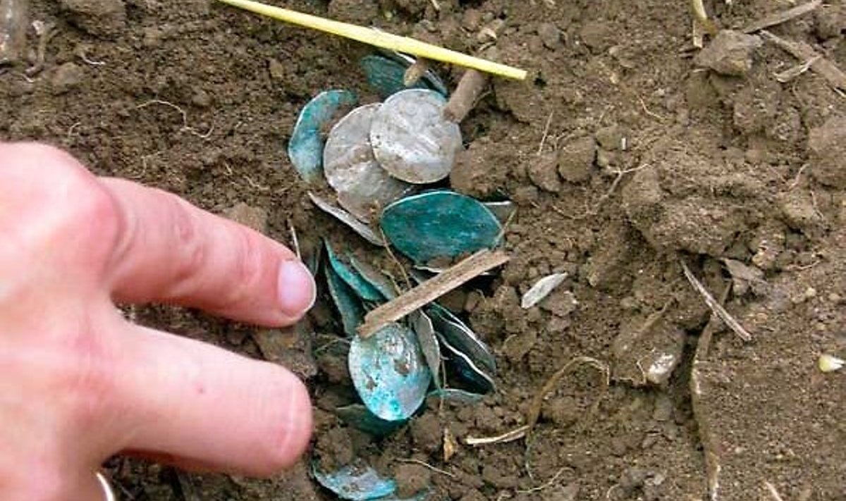 MAA SEES: Rohkem kui 1200 mündist koosnev viikingiaegne aare enne väljakaevamist. (erakogu)