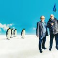 Päris pingviinide paraadile! Andres Tarand võtab Eesti auks pitsikese kangemat Antarktikas