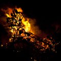 Maheviljaterminali viljakuivatis puhkenud tulekahjus põles kümneid tonne vilja