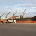 FOTOD | Rekordiline viljasaak tõi Muuga sadamasse esimest korda kolm suurt viljalaeva