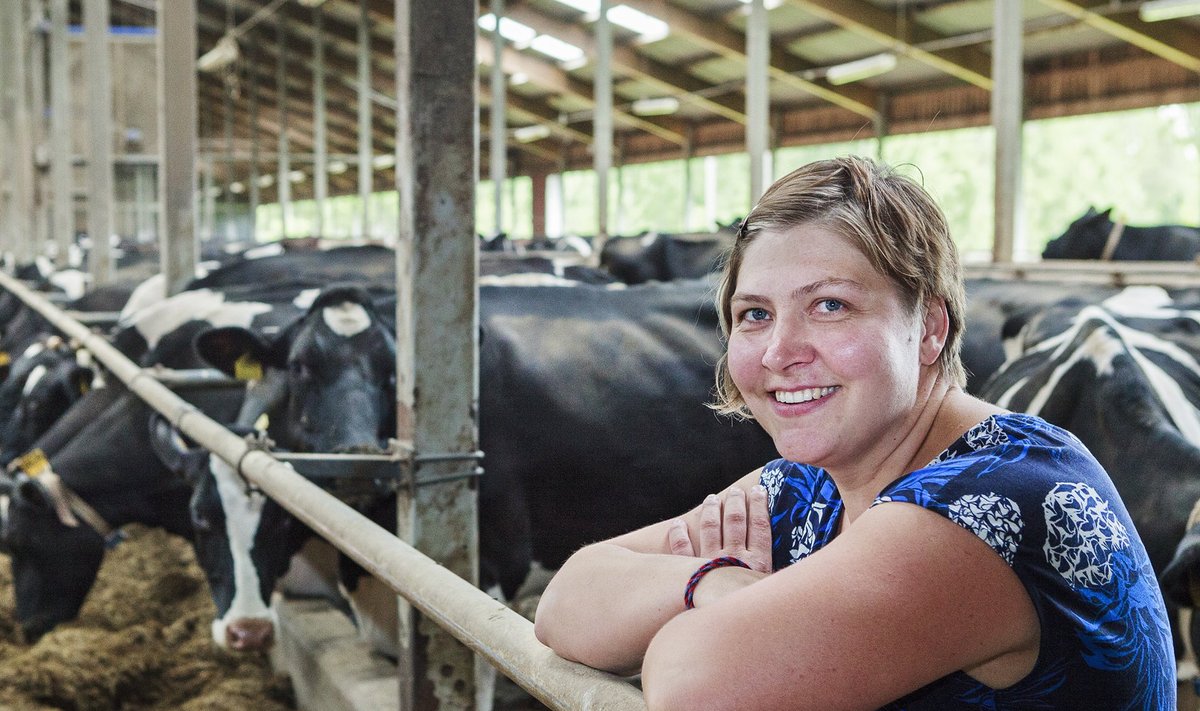 Heli Sadama juhitavad loomakasvatusettevõtted on Eestis ühed edukamad ja suurema väljalüpsiga piimafarmid.