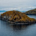 В Шотландии продают необитаемый остров по цене однокомнатной квартиры в Ласнамяэ