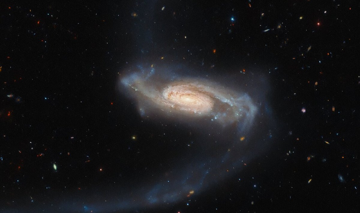 ESO 415-19