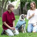 VIDEO: kuidas kuumarabanduse korral oma koera elu päästa