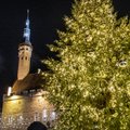 JÕULULUGU | Oh kuusepuu, kui haljad on su oksad! Maailma vanim jõulupuu särab endiselt Tallinnas