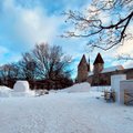 ФОТО | В Таллинне построят снежный городок