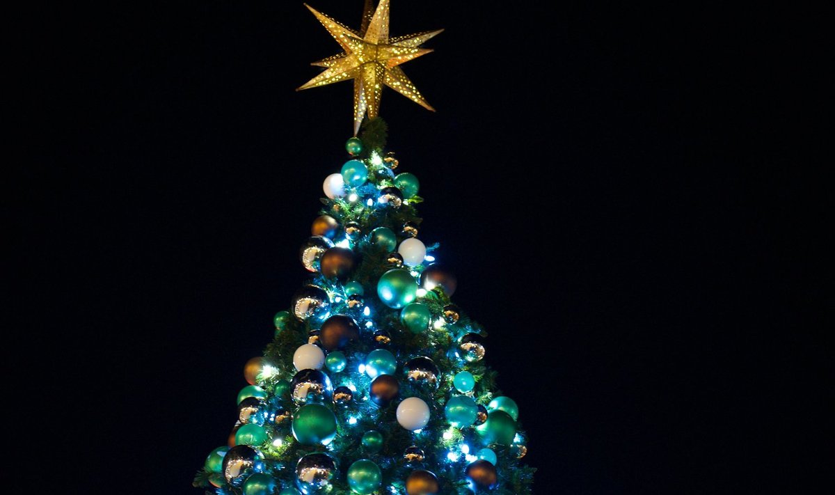 Рождественская елка, иллюстративное фото.